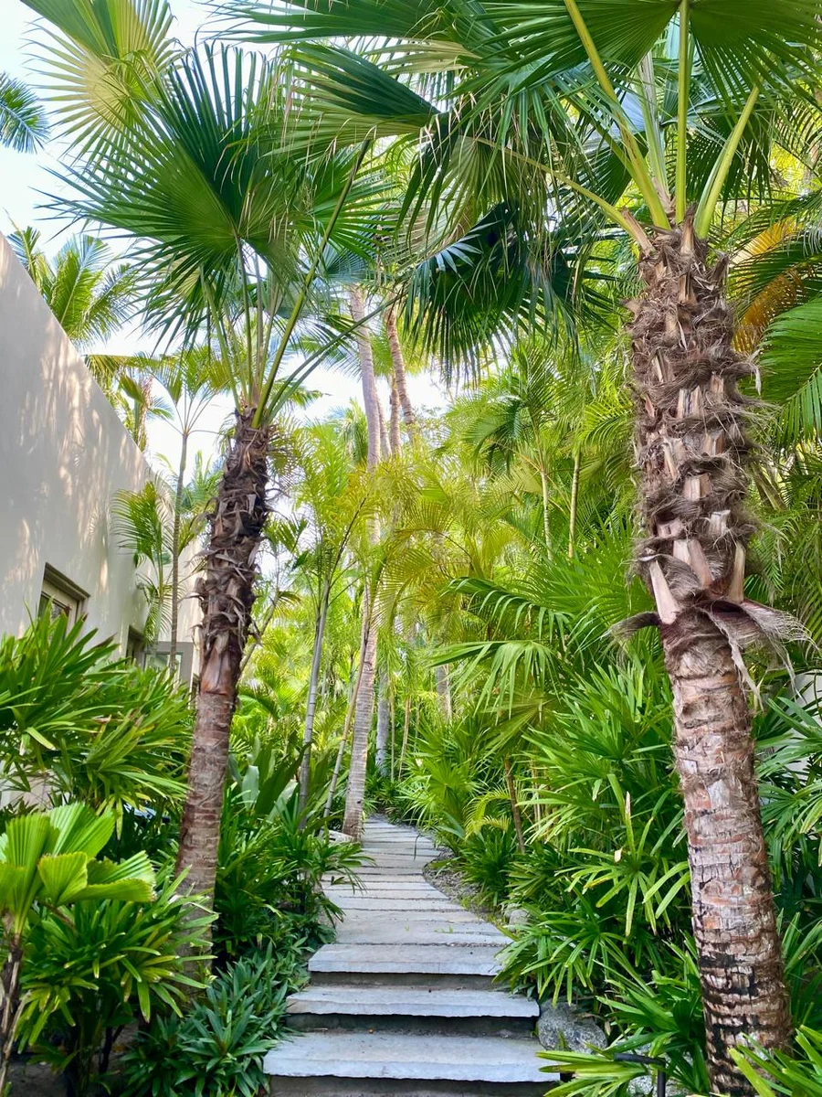 Proyecto: Diseño de jardines