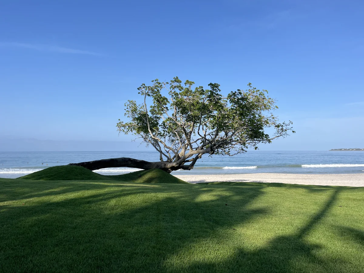 diseño de jardines residenciales
