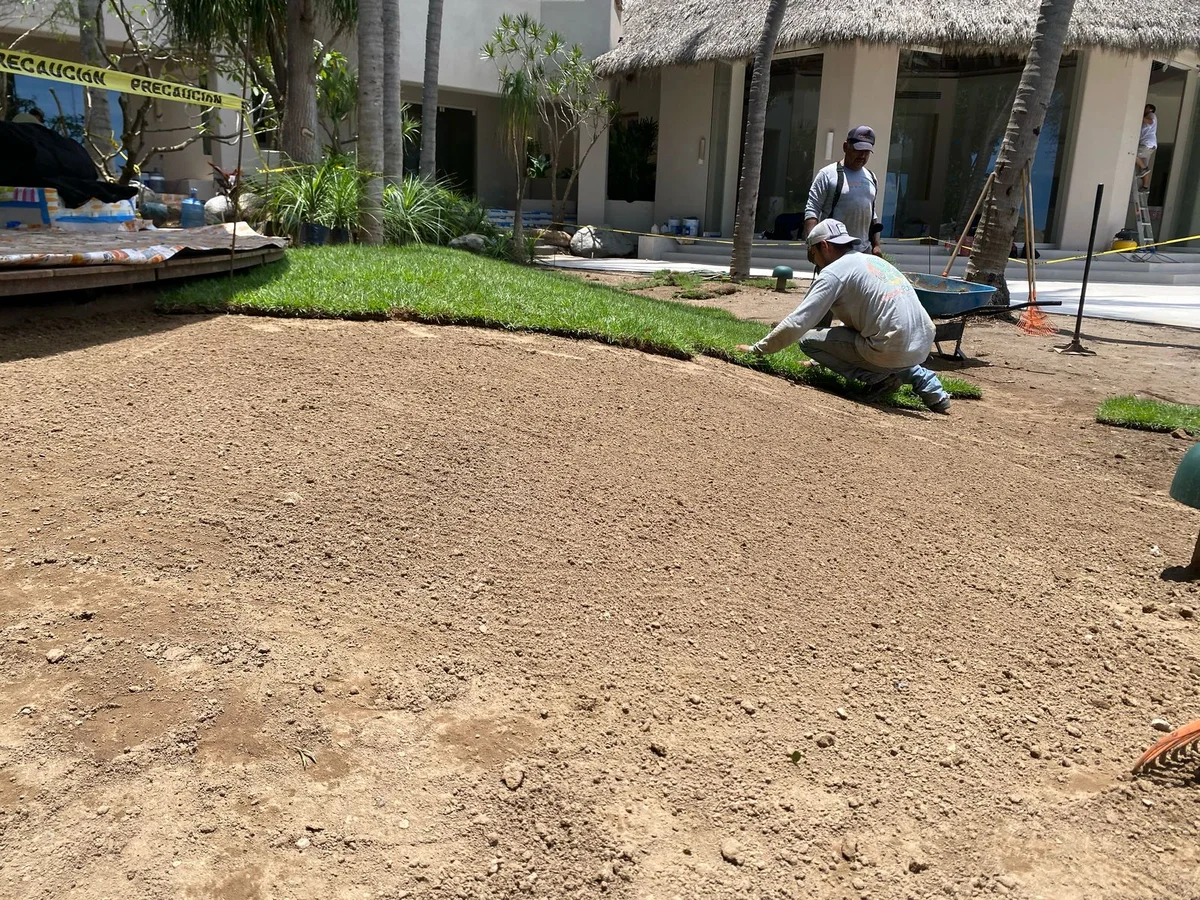 Proyecto: Landscape Construction