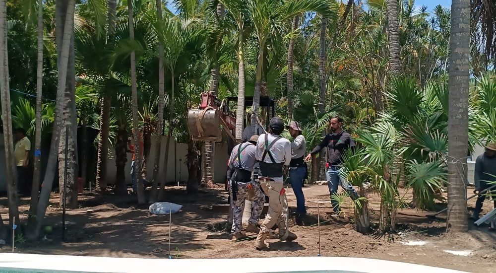 construcción de jardines
