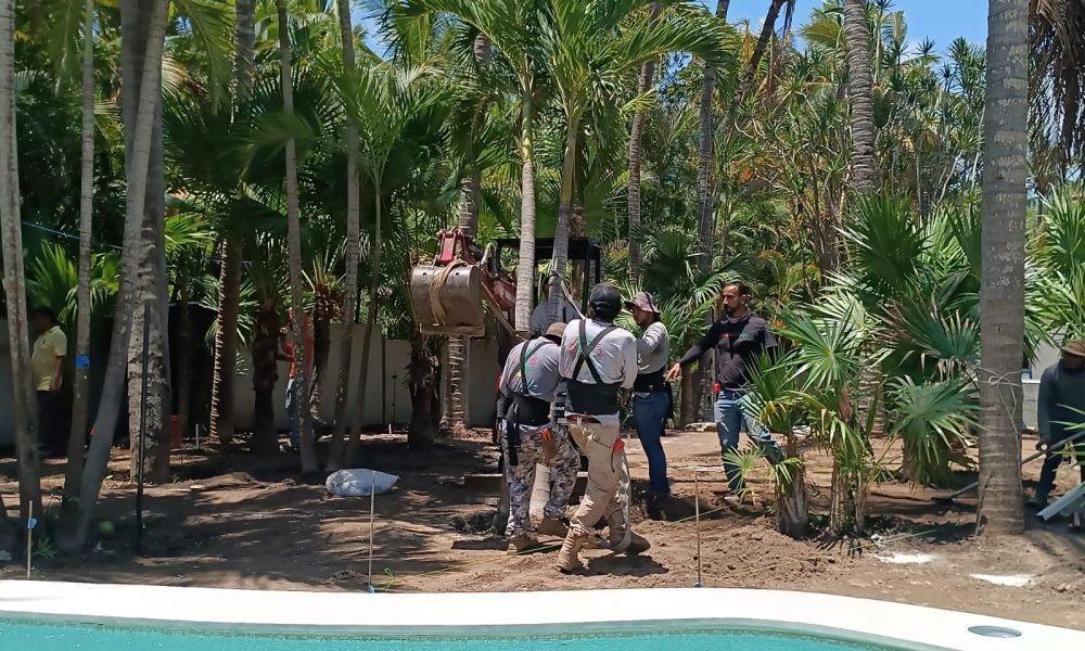 construcción de jardines