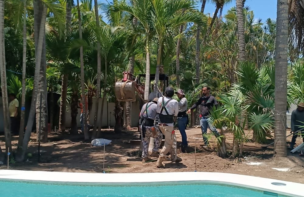 construcción de jardines
