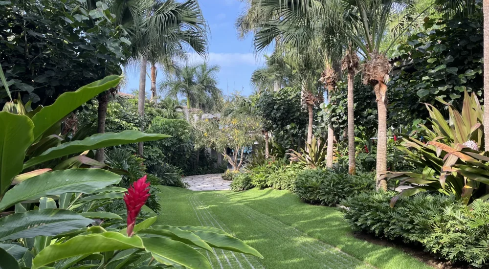 landscaping and nursery