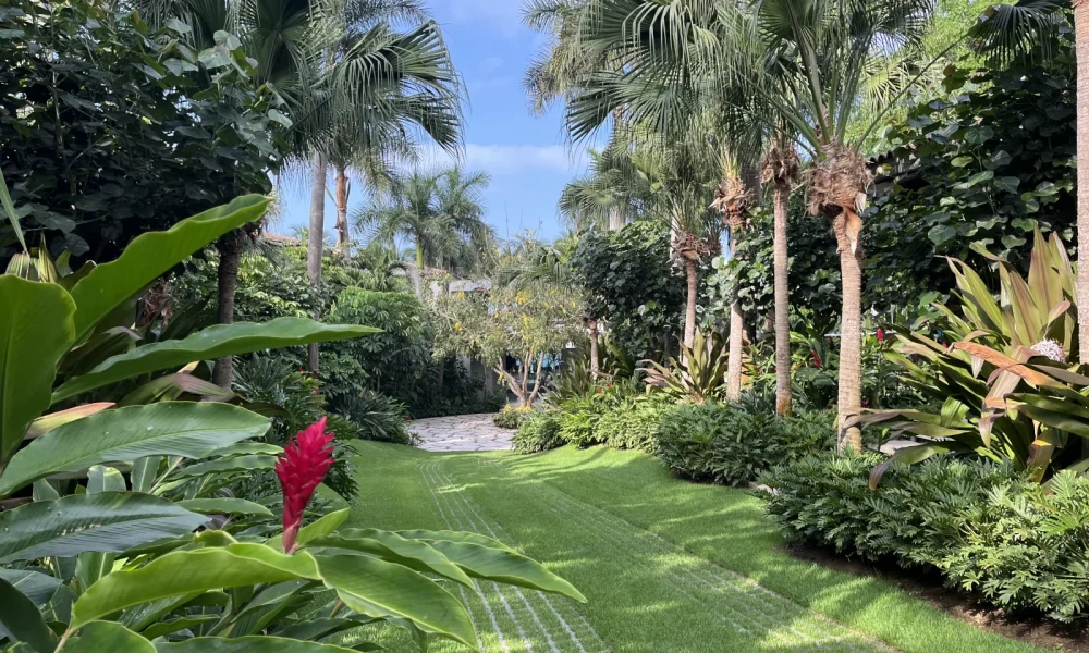 landscaping and nursery