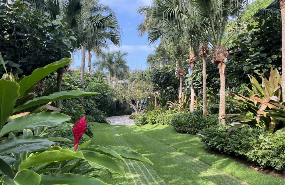 landscaping and nursery